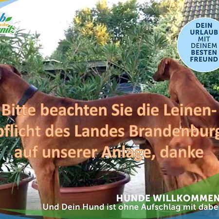 Jagd-Angler-Suite-03-Im-Wald-Am-See Kyritz Extérieur photo